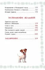 Волшебник Изумрудного города — изображение 4