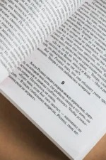 Волки Кальи. Из цикла Темная Башня — изображение 5