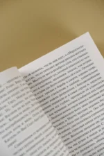 Карьера Ругонов — изображение 4