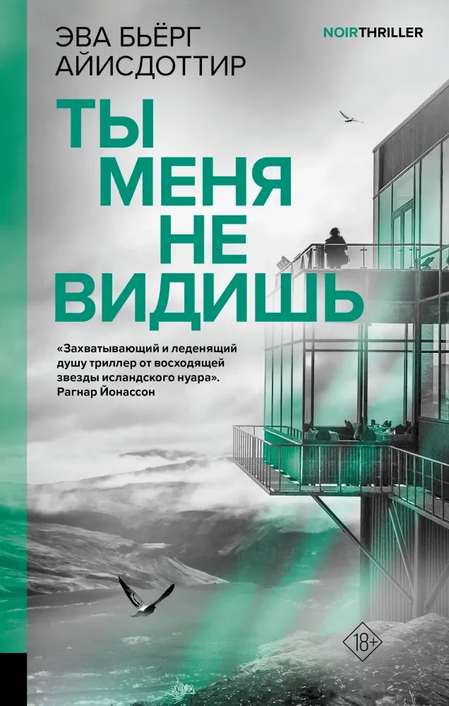 9785171631567_0 Ты меня не видишь. Эва Бьёрг Айисдоттир