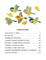 Дед Мороз и лето. Сказки — изображение 6