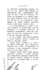 Большая книга про лошадок — изображение 6