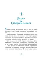 Пони Колокольчик. Чудеса на Северном полюсе — изображение 5