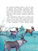 Пони Колокольчик. Чудеса на Северном полюсе — изображение 6
