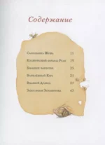 Земляничная фея. Волшебная книга каникул — изображение 3