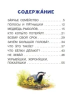 Сказки о зверятах — изображение 5