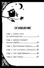 Мирелла Мануш. Осторожно, летит госпожа Сова! — изображение 4
