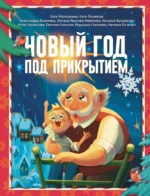 Новый год под прикрытием. Катя Матюшкина