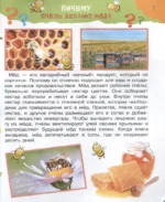 Большая книга почему — изображение 4
