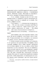Пионовый фонарь — изображение 4