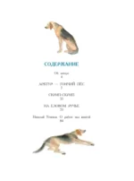 Арктур - гончий пёс — изображение 4