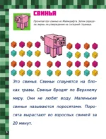 MINECRAFT. 1001 головоломка — изображение 6