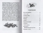 Кладовая солнца — изображение 2