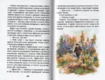 Кладовая солнца — изображение 3