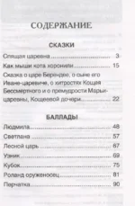 Спящая царевна. Сказки и баллады — изображение 3