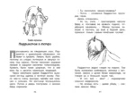 Медвежонок по имени Паддингтон — изображение 5