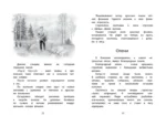 Год в лесу. Рассказы о природе — изображение 5