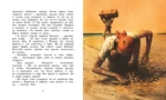 Остров сокровищ — изображение 5