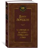 Маленькая хозяйка большого дома — изображение 2