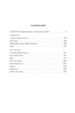 Чевенгур. Сокровенный человек. Котлован — изображение 3