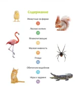 Животные разных стран — изображение 2