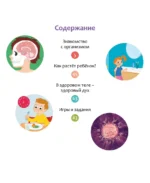 Как устроено тело человека — изображение 3