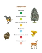 Жизнь леса — изображение 3