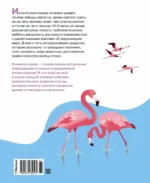 Почему? Вопросы и ответы обо всём на свете — изображение 6