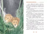 Львёнок в саванне — изображение 4