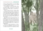 Приключения маленького носорога — изображение 3