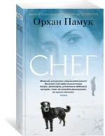 Снег — изображение 2
