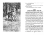 Дом шалунов — изображение 5
