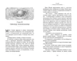 Поллианна — изображение 4