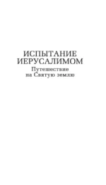 Испытание Иерусалимом. Путешествие на Святую землю — изображение 4