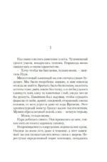 Путь через века. Книга 4. Свет счастья — изображение 4