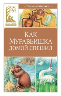 Как Муравьишка домой спешил. Бианки Виталий Валентинович