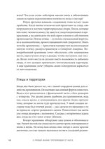 12 правил жизни. Противоядие от хаоса — изображение 3