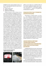 Интеллект. Упражнения и задания по японской системе развития мозга — изображение 4