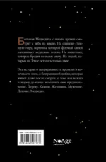 Медведь — изображение 2