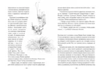 Пенни Ореховое Сердце и ужасный торт «Пропади ты пропадом» — изображение 5