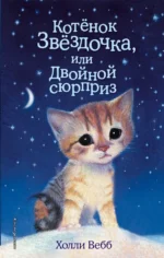 Котенок Звездочка, или Двойной сюрприз. Холли Вебб