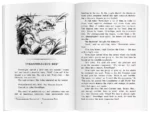 Короткие рассказы = Short Stories — изображение 3