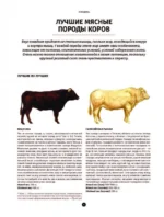 Мясо. Полное иллюстрированное руководство — изображение 4
