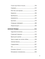 Не прощаюсь (роман с расшифровкой) — изображение 6