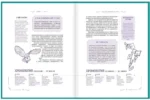 Гарри Поттер. Неофициальная книга-компаньон. Том 1. Философский камень: углубленное исследование — изображение 5