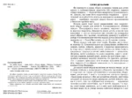 Всі добрі люди - одна сім'я — изображение 2