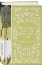 Маленькая хозяйка Большого дома — изображение 2