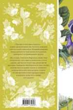 Чувство и чувствительность — изображение 3