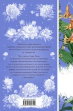 Мэнсфилд-парк — изображение 3