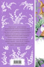 Леди Сьюзен — изображение 3